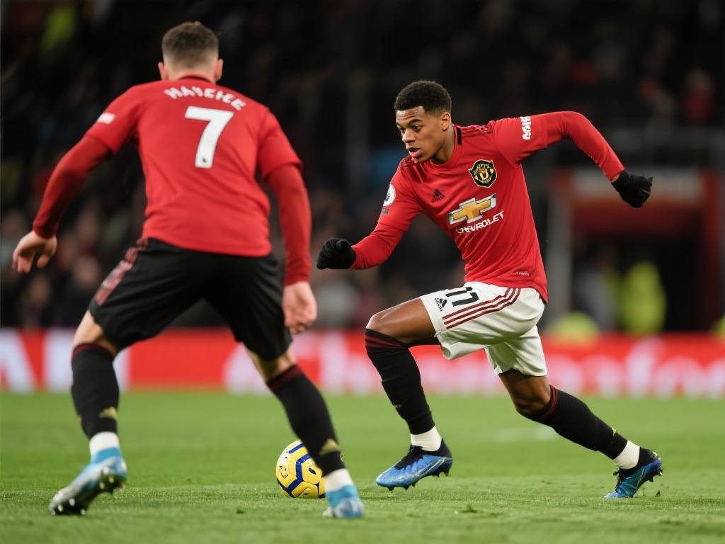 和丰富的策 和丰富的策